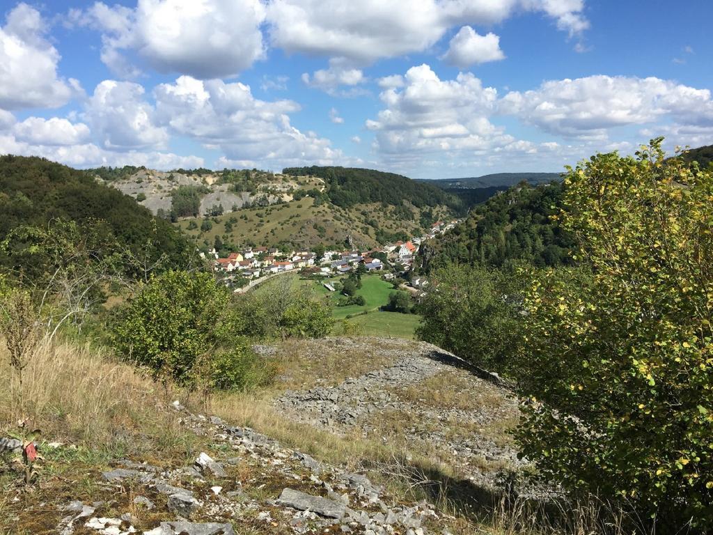 Haus "Am Muehlheimer Berg" Mörnsheim Exteriér fotografie